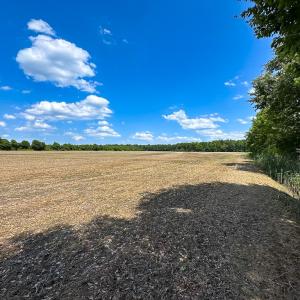 Photo #22 of Off West Rd, Chesapeake, VA 23.6 acres