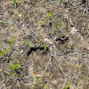 Photo #23 of Off West Rd, Chesapeake, VA 23.6 acres