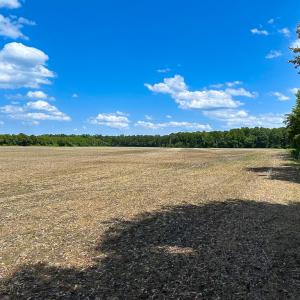 Photo #24 of Off West Rd, Chesapeake, VA 23.6 acres