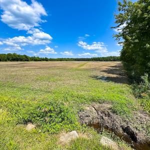 Photo #27 of Off West Rd, Chesapeake, VA 23.6 acres