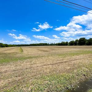 Photo #28 of Off West Rd, Chesapeake, VA 23.6 acres