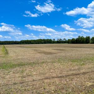 Photo #29 of Off West Rd, Chesapeake, VA 23.6 acres