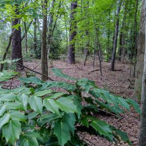 Photo #11 of TBD West Main Street, Locust, NC 8.7 acres