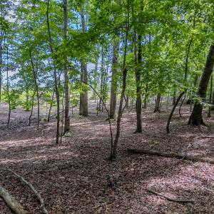 Photo #13 of TBD West Main Street, Locust, NC 8.7 acres