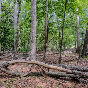 Photo #14 of TBD West Main Street, Locust, NC 8.7 acres