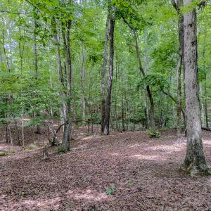 Photo #15 of TBD West Main Street, Locust, NC 8.7 acres