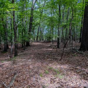 Photo #17 of TBD West Main Street, Locust, NC 8.7 acres