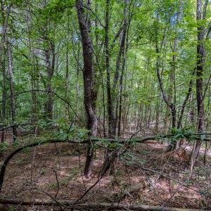 Photo #18 of TBD West Main Street, Locust, NC 8.7 acres
