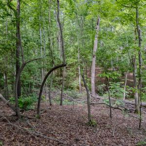 Photo #21 of TBD West Main Street, Locust, NC 8.7 acres