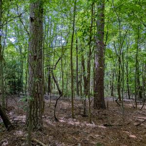 Photo #22 of TBD West Main Street, Locust, NC 8.7 acres
