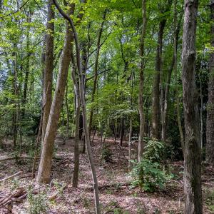 Photo #23 of TBD West Main Street, Locust, NC 8.7 acres