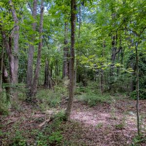 Photo #24 of TBD West Main Street, Locust, NC 8.7 acres