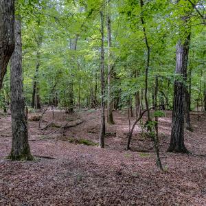 Photo #26 of TBD West Main Street, Locust, NC 8.7 acres