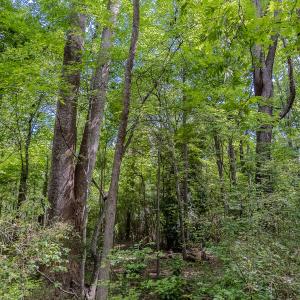 Photo #27 of TBD West Main Street, Locust, NC 8.7 acres