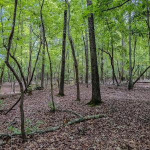 Photo #35 of TBD West Main Street, Locust, NC 8.7 acres