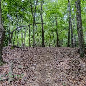 Photo #36 of TBD West Main Street, Locust, NC 8.7 acres