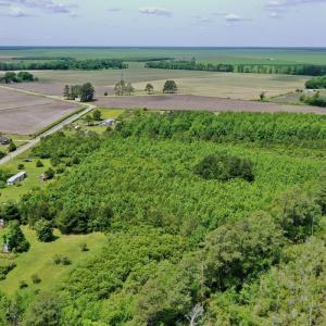 Photo #3 of SOLD property in 295 Kilkenny Rd, Fairfield, NC 9.3 acres