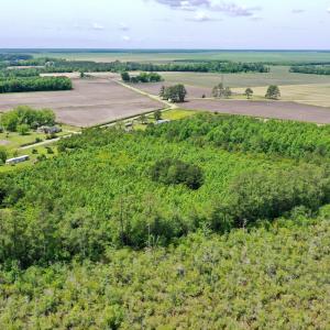 Photo #4 of SOLD property in 295 Kilkenny Rd, Fairfield, NC 9.3 acres