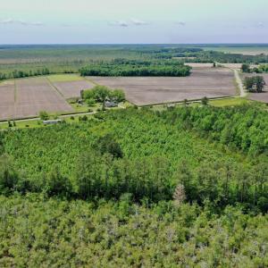 Photo #5 of SOLD property in 295 Kilkenny Rd, Fairfield, NC 9.3 acres