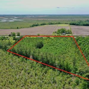 Photo #6 of SOLD property in 295 Kilkenny Rd, Fairfield, NC 9.3 acres