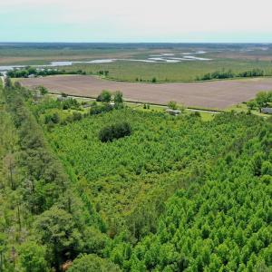 Photo #8 of SOLD property in 295 Kilkenny Rd, Fairfield, NC 9.3 acres