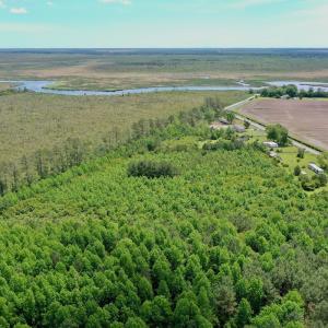 Photo #10 of SOLD property in 295 Kilkenny Rd, Fairfield, NC 9.3 acres