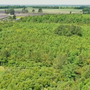 Photo #15 of SOLD property in 295 Kilkenny Rd, Fairfield, NC 9.3 acres