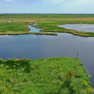 Photo #18 of SOLD property in 295 Kilkenny Rd, Fairfield, NC 9.3 acres