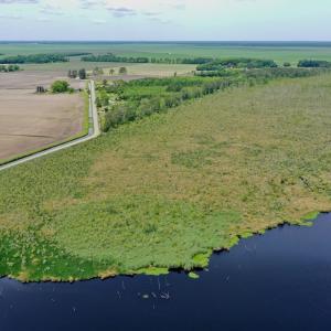 Photo #25 of SOLD property in 295 Kilkenny Rd, Fairfield, NC 9.3 acres