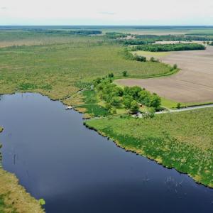 Photo #26 of SOLD property in 295 Kilkenny Rd, Fairfield, NC 9.3 acres