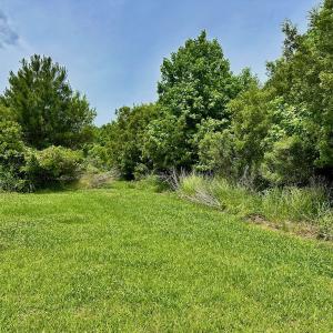 Photo #30 of SOLD property in 295 Kilkenny Rd, Fairfield, NC 9.3 acres