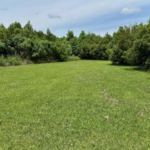 Photo #31 of SOLD property in 295 Kilkenny Rd, Fairfield, NC 9.3 acres