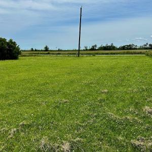 Photo #32 of SOLD property in 295 Kilkenny Rd, Fairfield, NC 9.3 acres