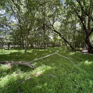 Photo #7 of SOLD property in 19081 Rawlings Rd, Capron, VA 0.7 acres