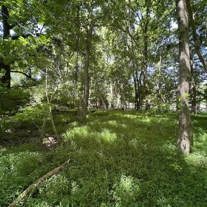 Photo #8 of SOLD property in 19081 Rawlings Rd, Capron, VA 0.7 acres