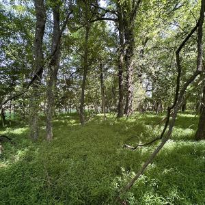 Photo #10 of SOLD property in 19081 Rawlings Rd, Capron, VA 0.7 acres
