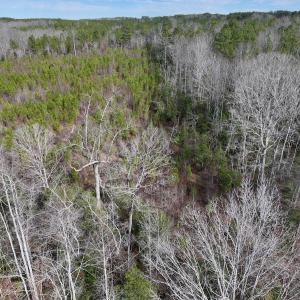 Photo #12 of SOLD property in 02 Pine Grove Church Road, Eagle Springs, NC 10.9 acres