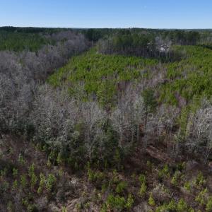 Photo #13 of SOLD property in 02 Pine Grove Church Road, Eagle Springs, NC 10.9 acres