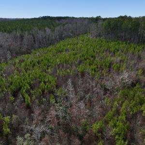 Photo #14 of SOLD property in 02 Pine Grove Church Road, Eagle Springs, NC 10.9 acres