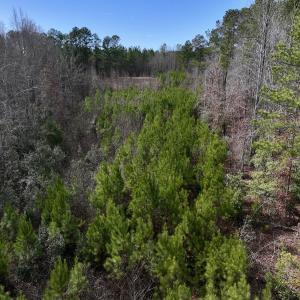 Photo #16 of SOLD property in 02 Pine Grove Church Road, Eagle Springs, NC 10.9 acres