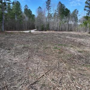 Photo #17 of SOLD property in 02 Pine Grove Church Road, Eagle Springs, NC 10.9 acres