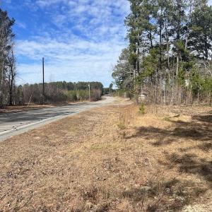 Photo #19 of SOLD property in 02 Pine Grove Church Road, Eagle Springs, NC 10.9 acres