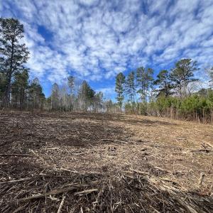 Photo #20 of SOLD property in 02 Pine Grove Church Road, Eagle Springs, NC 10.9 acres