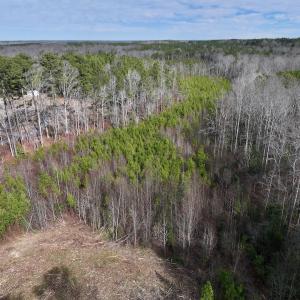 Photo #3 of SOLD property in 02 Pine Grove Church Road, Eagle Springs, NC 10.9 acres