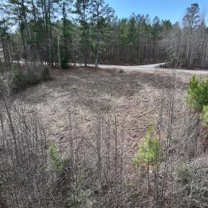 Photo #5 of SOLD property in 02 Pine Grove Church Road, Eagle Springs, NC 10.9 acres