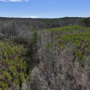 Photo #8 of SOLD property in 02 Pine Grove Church Road, Eagle Springs, NC 10.9 acres