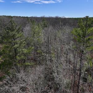 Photo #9 of SOLD property in 02 Pine Grove Church Road, Eagle Springs, NC 10.9 acres