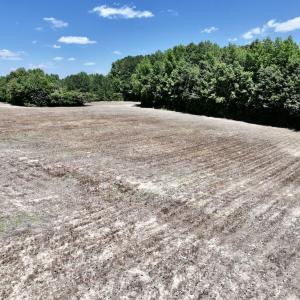 Photo #13 of SOLD property in Off Highway 48, Littleton, NC 4.6 acres