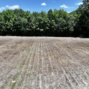Photo #14 of SOLD property in Off Highway 48, Littleton, NC 4.6 acres