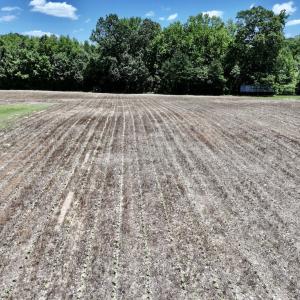 Photo #17 of SOLD property in Off Highway 48, Littleton, NC 4.6 acres